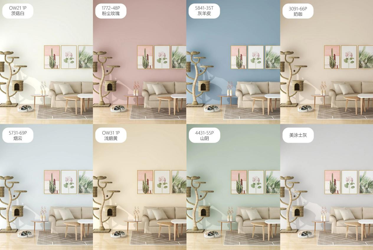 Z6·尊龙「中国区」官方网站